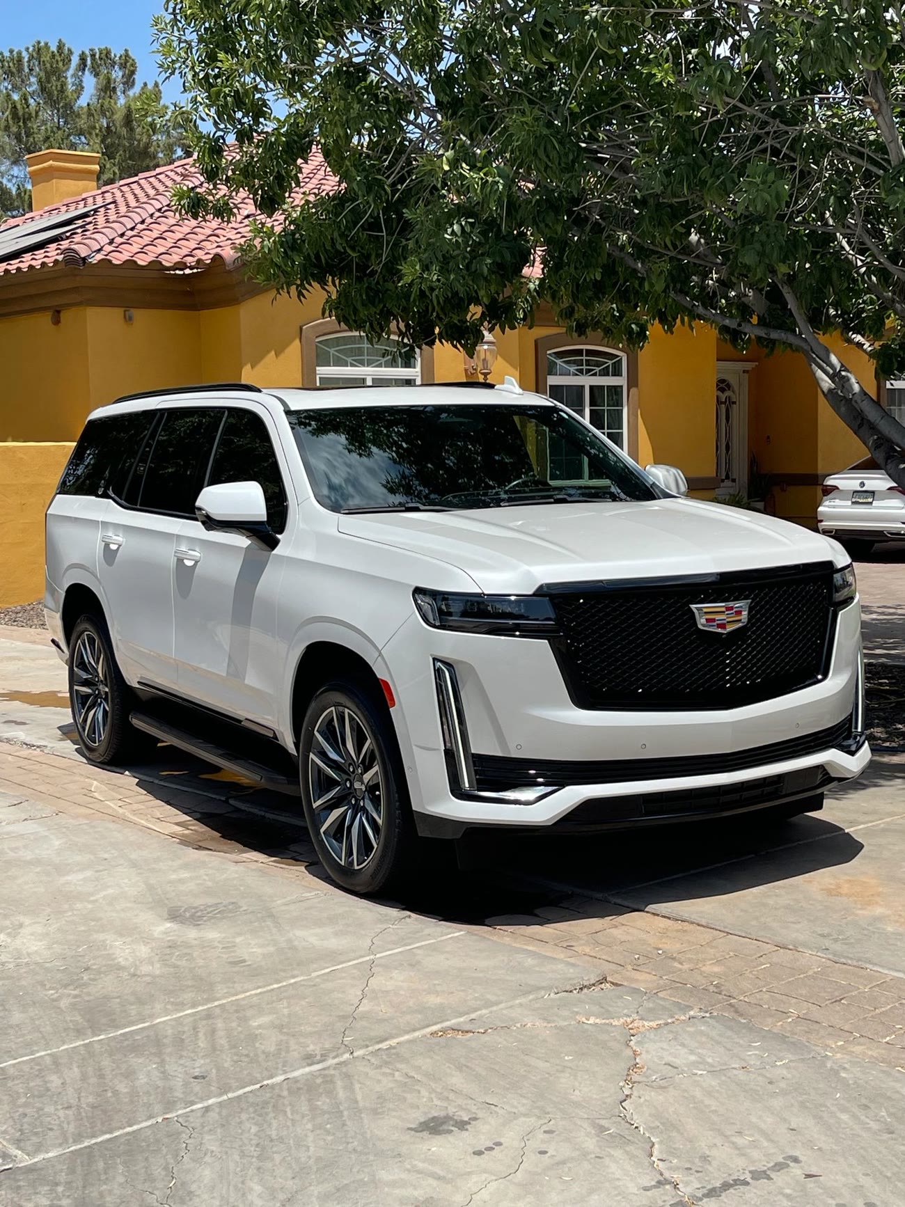 Exterior detail — glossy white Cadillac Escalade